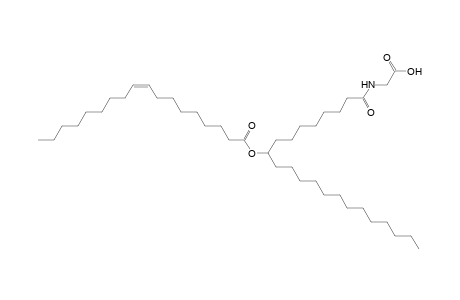NAGly 18:1/22:0