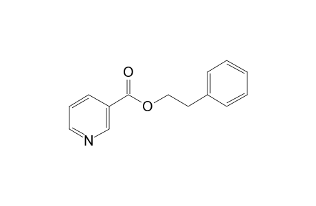 Nicotinic acid, 2-phenylethyl ester