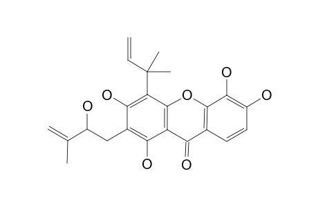 Bracteaxanthone I