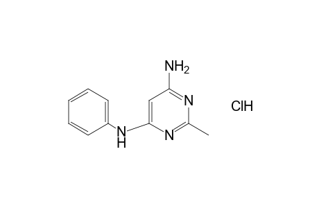 4-amino-6-anilino-2-methylpyrimidine, hydrochloride