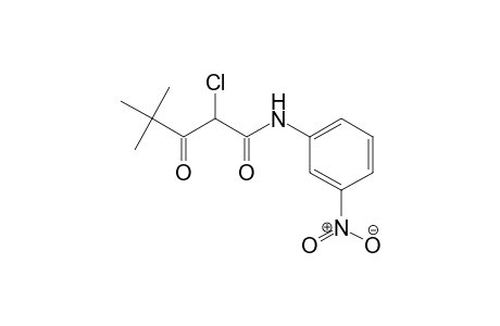 Pentanamide, 2-chloro-4,4-dimethyl-N-(3-nitrophenyl)-3-oxo-