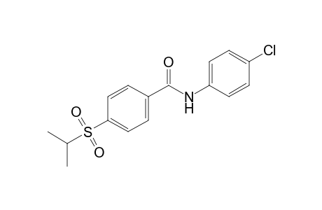 4'-chloro-4-(isopropylsulfonyl)benzanilide