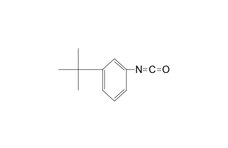 ISOCYANIC ACID, m-tert-BUTYLPHENYL ESTER