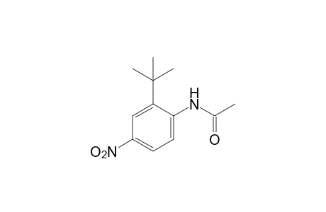 2'-tert-butyl-4'-nitroacetanilide