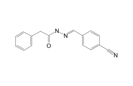 N'-(4-Cyanobenzylidene)-2-phenylacethydrazide