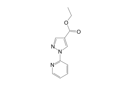 ETHYL_1-(2-PYRIDINYL)-1H-PYRAZOLE-4-CARBOXYLATE