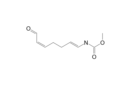 Carbamic acid, (7-oxo-1,5-heptadienyl)-, methyl ester, (E,Z)-