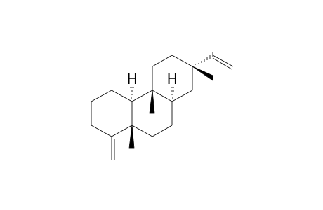 Dolabradiene