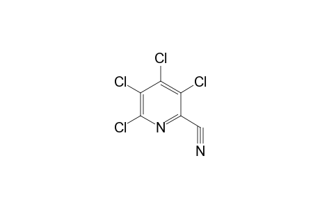 3,4,5,6-TETRACHLOROPICOLINONITRILE