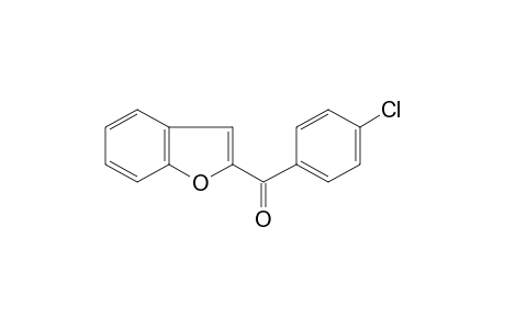 2-benzofuranyl p-chlorophenyl ketone