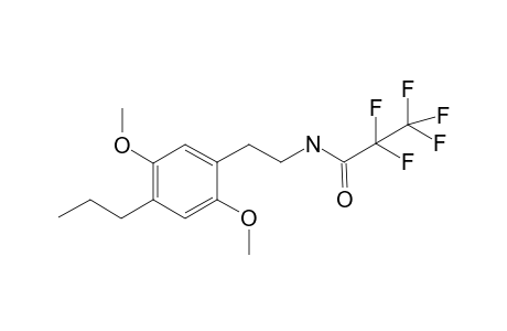 2C-P PFP