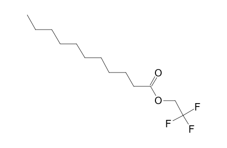 Undecanoic acid, 2,2,2- trifluoroethyl ester