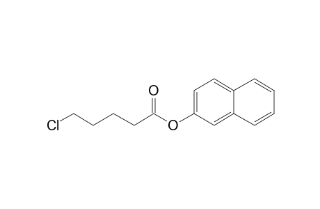 5-Chlorovaleric acid, 2-naphthyl ester