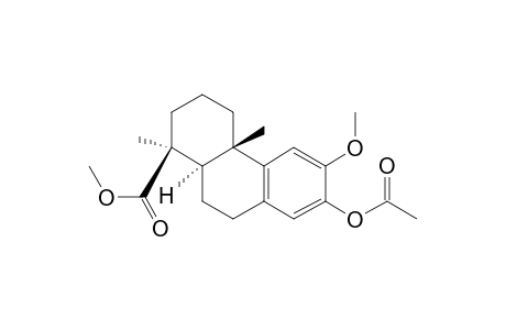 METHYL,13-ACETOXY,12-METHOXYPODOCARPA-8,11,13-TRIEN-19-OATE