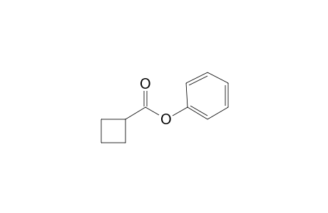 Cyclobutanecarboxylic acid, phenyl ester