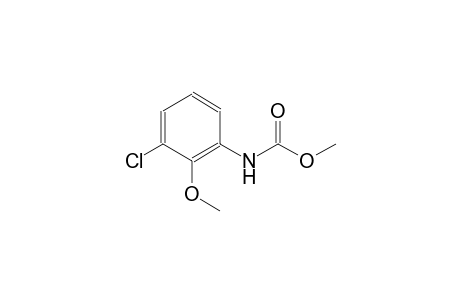 3-chloro-2-methoxycarbanilic acid, methyl ester