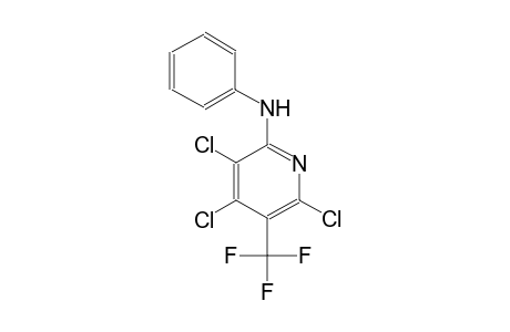 3,4,6-trichloro-N-phenyl-5-(trifluoromethyl)-2-pyridinamine