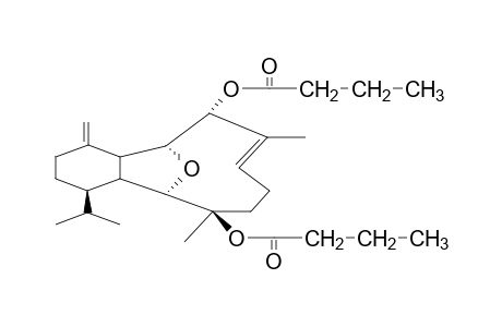 LITOPHYNIN B