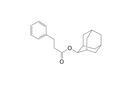 3-Phenylpropanoic acid, 2-adamantyl ester