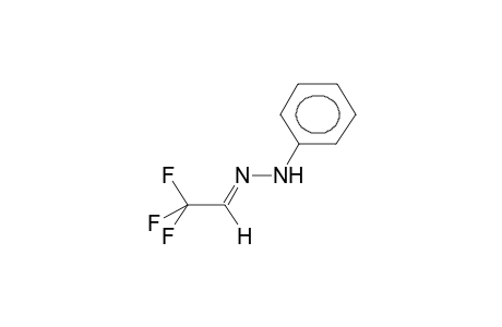 TRIFLUOROACETALDEHYDE, PHENYLHYDRAZONE