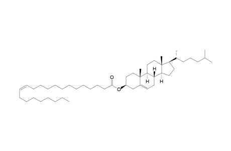 Cholesterol cis-13-docosenoate