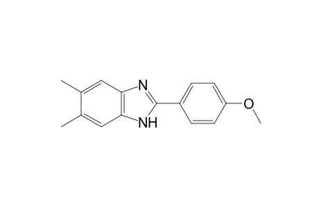 5,6-dimethyl-2-(p-methoxyphenyl)benzimidazole