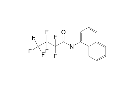 MN-18-M/artifact HFB          @