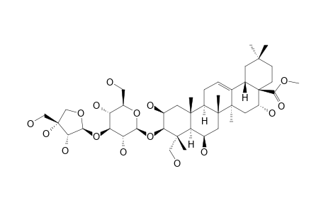 3-O-[BETA-D-APIOFURANOSYL-(1->3)]-BETA-D-GLUCOPYRANOSYL-2-BETA,3-BETA,6-BETA,16-ALPHA,23-PENTA-HYDROXYOLEAN-12-EN-28-OIC_ACID_METHYLESTER