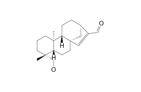 DOIANOTERPENE-C;ENT-19-HYDROXY-KAUR-15-EN-17-AL