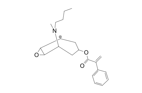 Butylscopolamine artifact (-H2O) MS2