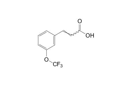 3-(Trifluoromethoxy)cinnamic acid