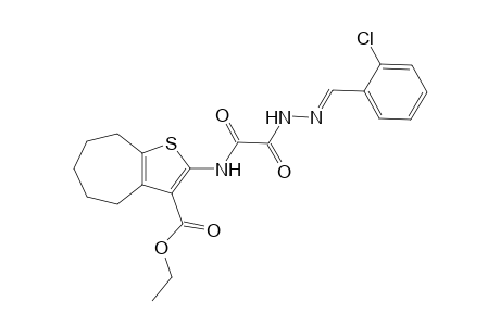 ethyl 2-{[[(2E)-2-(2-chlorobenzylidene)hydrazino](oxo)acetyl]amino}-5,6,7,8-tetrahydro-4H-cyclohepta[b]thiophene-3-carboxylate