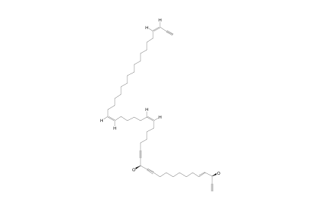 PETROCORTYNE_A