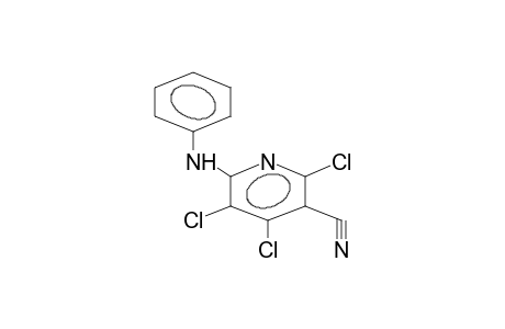 5-CYANO-2-PHENYLAMINOTRICHLOROPYRIDINE
