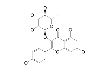 KAEMPFEROL-3-RHAMNOPYRANOSIDE