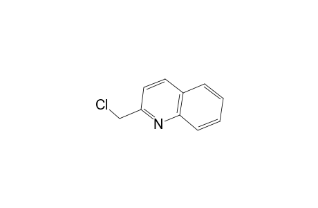 Quinoline, 2-(chloromethyl)-