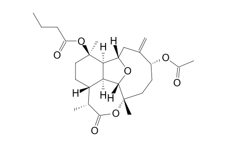 Briarellin L