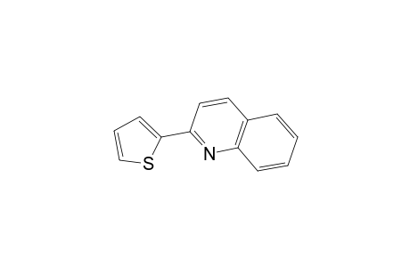 2-(2-Thienyl)quinoline