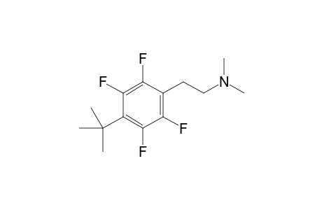 2-[4-(tert-butyl)-2,3,5,6-tetrafluorophenyl]-N,N-dimethylethan-1-amine