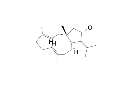 13-(S*)-HYDROXY-(1R*,11S*)-DOLABELLA-3(E),7(E,12(18)-TRIENE;ISOPALOMINOL