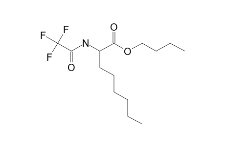 Octanoic acid, 2-[(trifluoroacetyl)amino]-, butyl ester