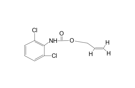 2,6-dichlorocarbanilic acid, allyl ester