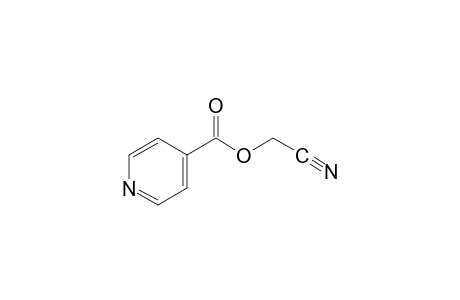 Isonicotinic acid, cyanomethyl ester