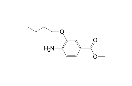 Oxybuprocaine-A