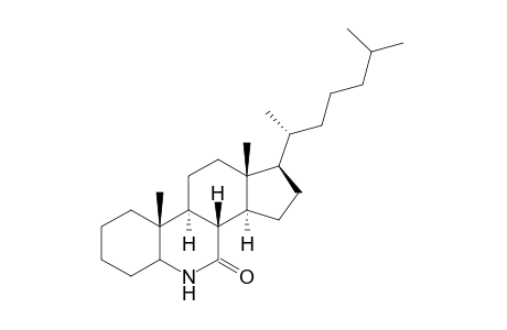 6-Azacholestan-7-one