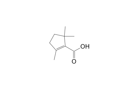 2,5,5-trimethyl-1-cyclopentenecarboxylic acid