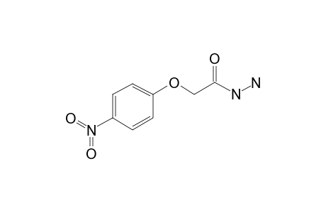 4-Nitrophenoxyacetic acid hydrazide