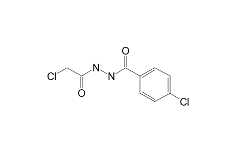 4-Chloro-N'-(2-chloroacetyl)benzohydrazide