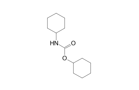 cyclohexanecarbamic acid, cyclohexyl ester