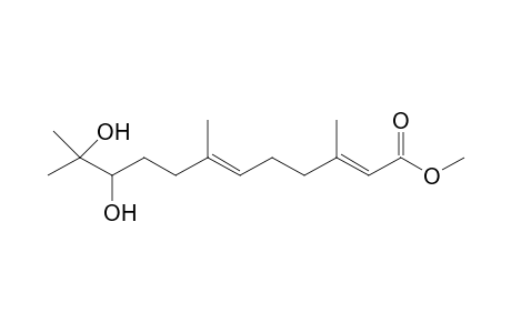 METHYL-(+)-(2E,6E,10-XI)-10,11-DIHYDROXY-3,7,11-TRIMETHYL-DODECA-2,6-DIENOATE